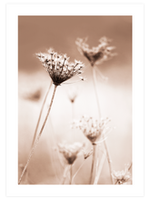 A Sweet Morning - Art Print